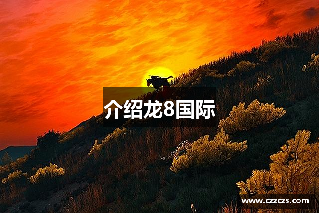 介绍龙8国际